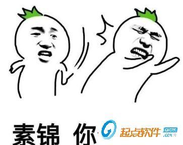 素锦表情包