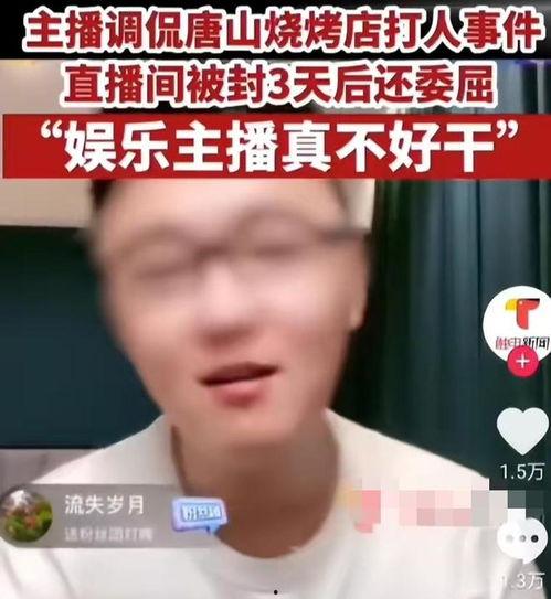 百万网红事件